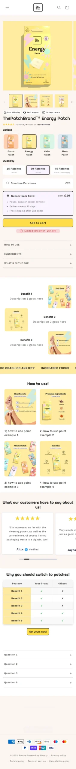 Website Example 1